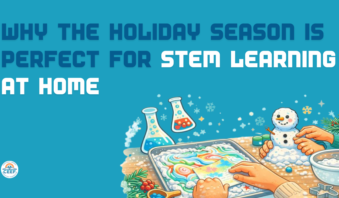 Why the Holiday Season is Perfect for STEM Learning at Home