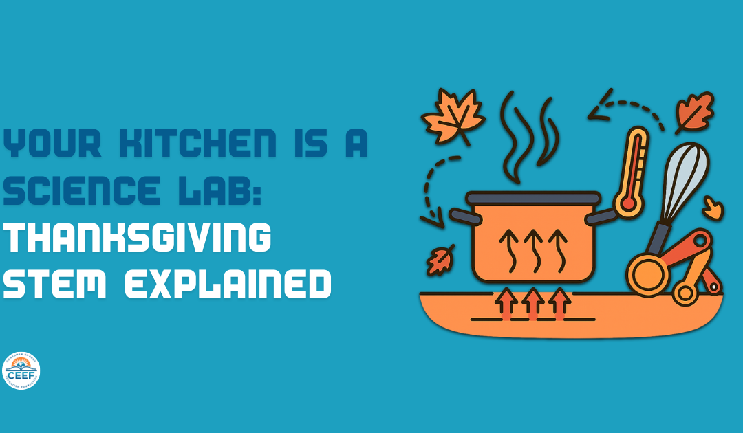 Thanksgiving STEM: The Secret Science of Holiday Cooking